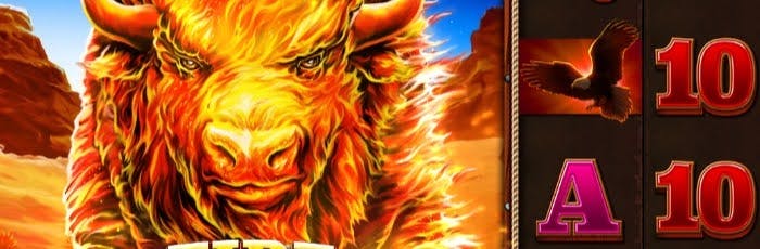 jogos 365bet